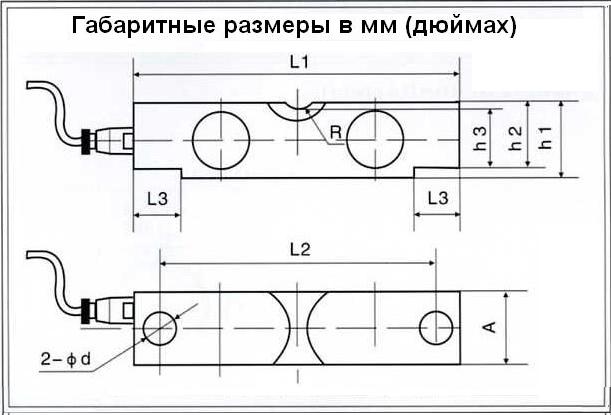   l3v,  